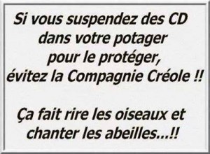 C'est réellement drôle et on like, on partage... même si la qualité graphique est discutable.